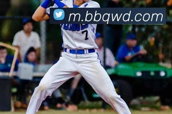 问鼎娱乐平台生态图